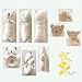JOHN N TREE Organic Baby First Friends, Stuffed Animals (Kitty & Baby Bear Rattle Set) Attachment Doll for Baby,Organic Toy