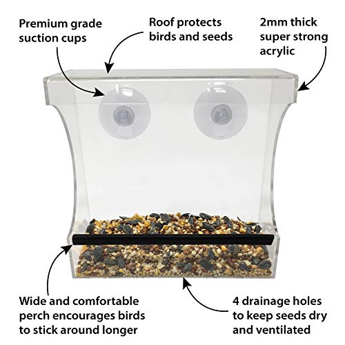 Gray Bunny GB-6895 Clear Window Bird Feeder, Compact Wild Birdfeeder with Drain Holes, Super Strong Suction Cups, Transparent Viewing, Covered, High Seed Capacity, Rubber Perch