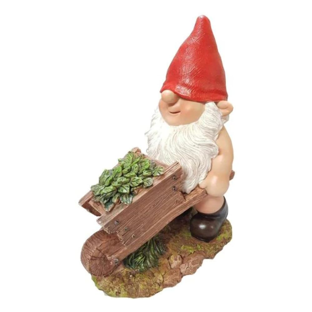 Vivid Arts Wheelbarrow Gnaughty Gnome (BG-PN71-F) Frost Resistant Garden Ornaments, Garden Decor
