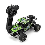 TOYEN TN657 RC Car 1/18 2.4G Rock Off-Road Vehicle Fast Racing Cars Cars 4WD Topspeed Drifting Car (Green)