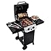 Char-Broil Performance 300 2-Burner Cabinet Liquid Propane Gas Grill- Black