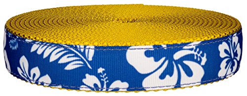 Country Brook Design 1 Inch Royal Blue Hawaiian on Gold Nylon Webbing,10 Yards