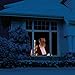 The ORIGINAL Virtual Santa in the Window Movie on USB. Includes Kringle Bros High Resolution Rear Projection Screen