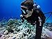 GoPro Green Water Dive Filter for Super Suit (GoPro Official Accessory)
