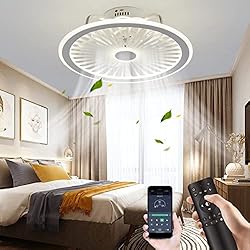 CHANFOK Low Profile Ceiling Fan with Lights, Modern