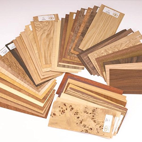 Wood Identification Kit