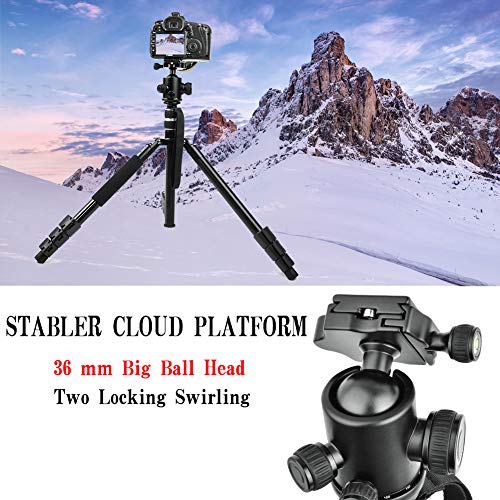 Travel Camera Tripod, Abithid 65'' Portable and Compact Aluminum DSLR Monopod Tripod with 360°Panorama 36 mm Ball Head 1/4 Quick Release Plate for Travel and Work
