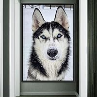 Framed Canvas Wall Art Pupper Animals Chic Dogs Multicolor Photography Urban - 16x24 inches
