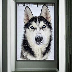 signwin Framed Canvas Wall Art Pupper Animals Chic...