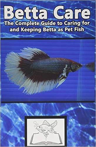 betta guide