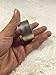 SUNKEE Round 40x20mm / 1.57