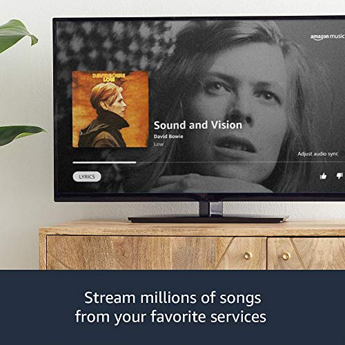 Fire TV Stick Lite and Echo Dot (Charcoal) bundle Pricepulse