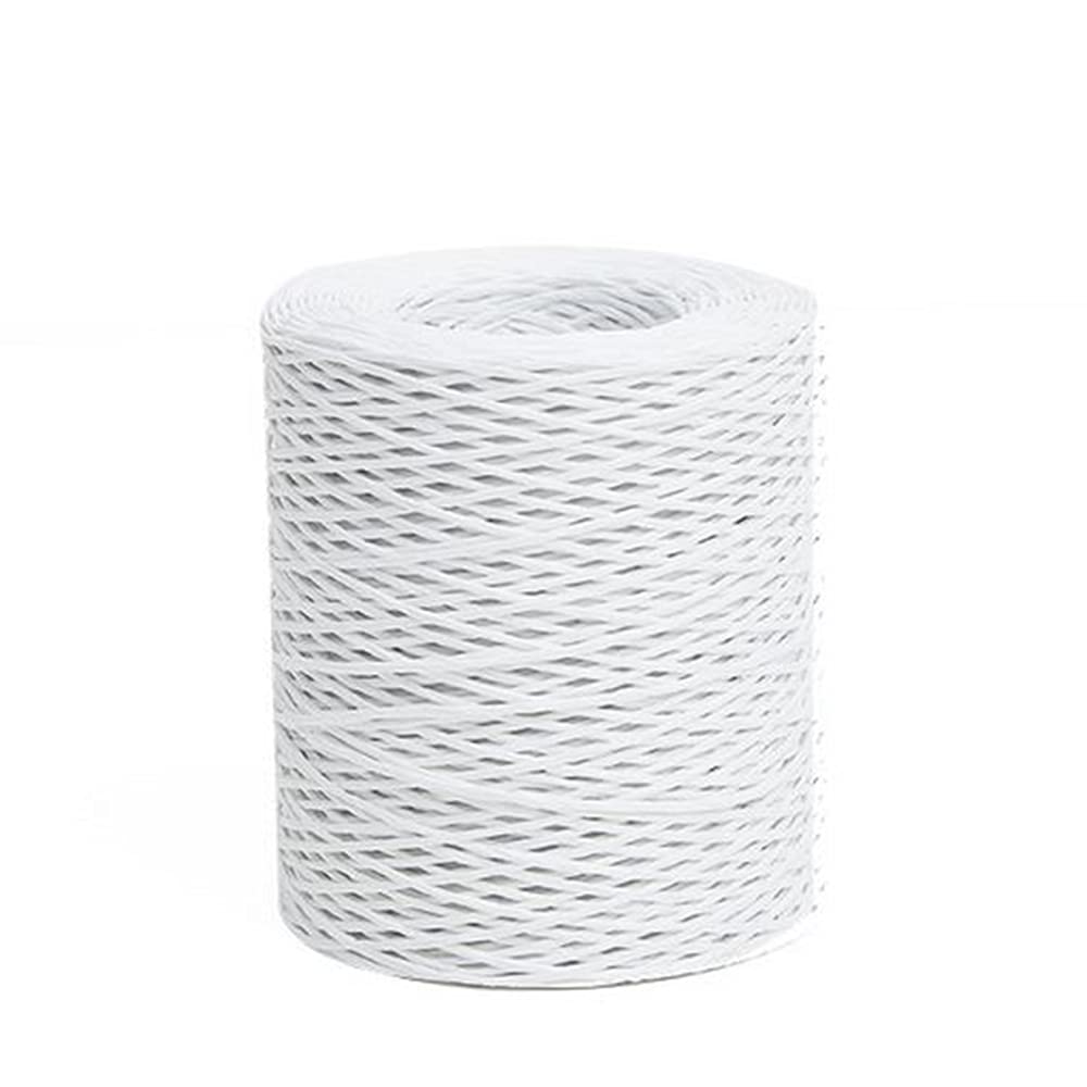 656 Feet Floral Wire, 2mm Bind Wrap Twine, Paper Covered Rustic Vine for Arrangements, Flower Crowns, Grapevine Wreath Making, Wedding Decorating, DIY Projects (White)