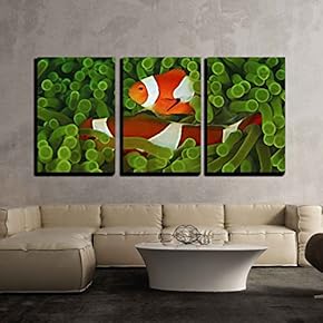 3 Piece Canvas Wall Art - Anemone and Nemo - Modern Home Art Stretched and Framed Ready to Hang - 16"x24"x3 Panels