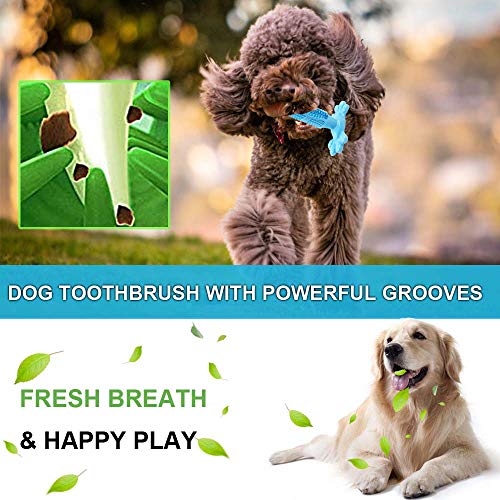 AomeTech Dog Toothbrush Dental Care Brushing Stick Effective Doggy Teeth Cleaning Massager Nontoxic Natural Rubber Bite Resistant Chew Toys Finger Toothbrush for Dogs Pets (M, Blue)