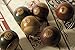 IMAX 70280-6 Antique Pool Balls - Set of 6 Snooker Balls for Game Room, Den - Hand Painted Decorative Billiard Balls. Billiard and Pool