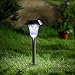 Treeco Solar Pathway Lights Outdoor for Garden Patio Landscape Stainless Steel & Waterproof, 6 Pack - Silver