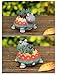 Youfui Turtle Planter for Small Plants, Bonsai, Cactus Planter, Mini Succulent Plant Pot Turtle Gift,Set of 2