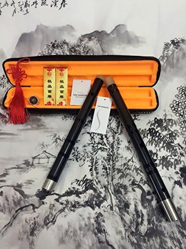NicoshineTM Professional Level Carved Chinese Instrument Aged Rosewood Flute/Dizi in C key