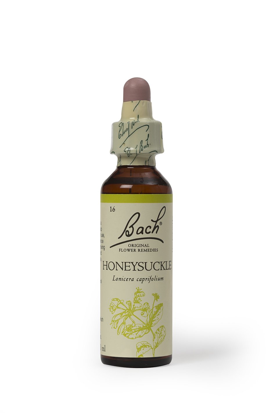 Bach Original Flower Remedies, Honeysuckle - Embrace The Now - Natural Homeopathic Flower Essence for Emotional Balance - Vegan, Gluten Free, Sugar Free - 20mL Dropper