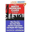 The White Working Class Today: Who They Are, How They Think and How Progressives Can Regain Their Support