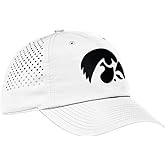 Desert Cactus Iowa Snapback Hat – BreezePro Performance Baseball Cap with Adjustable Strap Designed for Hawkeyes Fans (BP1)