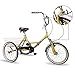 Hiram Adult Tricycle Trike Cruise Bike Three-Wheeled Bicycle with Large Size Basket for Recreation, Shopping, Exercise Men’s Women’s Bike (20inch/Yellow)thumb 3