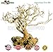 Bonsai Driftwood Aquarium Tree (5 Inch Height) Natural, Handcrafted Fish Tank Decoration | Helps Balance Water pH Levels, Stabilizes Environments | Easy to Installthumb 1