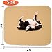 Mihachi Pet Pee Pad 2 Pack - 24