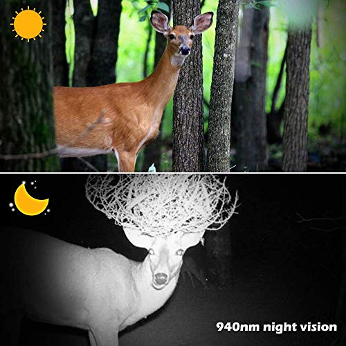 QZMVER Mini HD Wildkamera, Hunting Camera Fotofalle 120° Weitwinkel Vision Infrarote Nachtsicht Überwachungskamera… – Bild 6