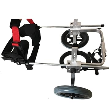 Silla de ruedas para piscina | Ruedas