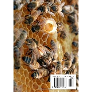 El Apicultor Practico Volumenes I, II & III Apicultor Natural (Spanish Edition)
