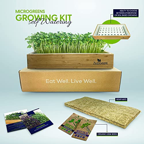 Microgreens Growing Kit Self Watering Includes Microgreens Tray