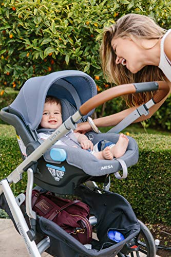 uppababy mesa blue