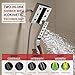Delta Faucet 4-Spray Touch-Clean H2Okinetic In2ition 2-in-1 Dual Hand Held Shower Head with Hose and Magnetic Docking, Chrome 58473