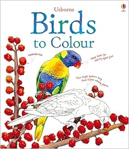 920+ Colouring Book Birds Picture HD