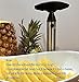 Adorox Stainless Steel Pineapple Fruit Core Slicer Cutter Kitchen Tool Cortador de Piña (Stainless Steel (1 Slicer))
