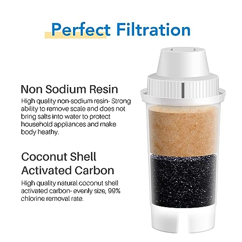 ICEPURE Pitcher Water Filter Replacement for Brita® Standard Water