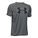 Under Armour UA Tech Big Logo YMD Carbon Heather