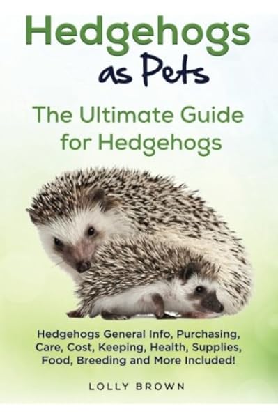 hedgehog pet care