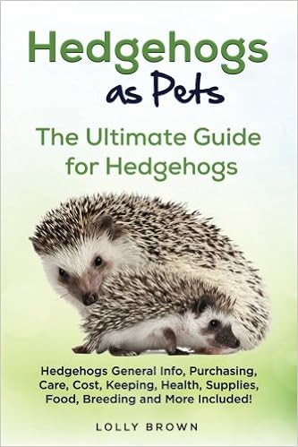 hedgehog care cost