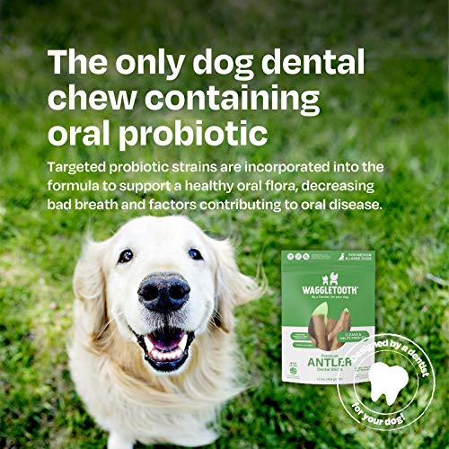 Waggletooth Dog Dental Chew Dental Sticks for Dogs with Natural