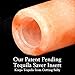 The Spice Lab Pink Himalayan Salt Tequila Shot Glass Gift Set With Salt Plate