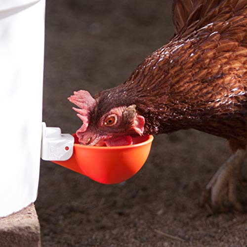 3 Watering+Hardware+Included+Automatic+Waterers