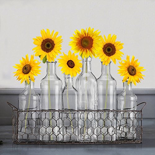 Bud Flower Vases In Chicken Wire Basket for Window-Sill Display, Decorative Storage, Party or Wedding Centerpiece - Clear Glass 6-piece Assorted Home Decor Set