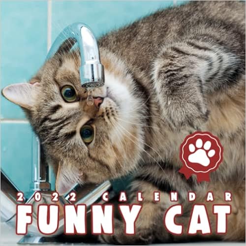 Funny Cat Calendar 2022: Squared Monthly Calendar Mini Planner January 2022 To December 2022 Bonus Last 4 Months 2021 | Gift For Cat Person And Animal Lover | Classroom, Home, Office: Amazon.co.uk: Sandy King: 9798496719674: Books