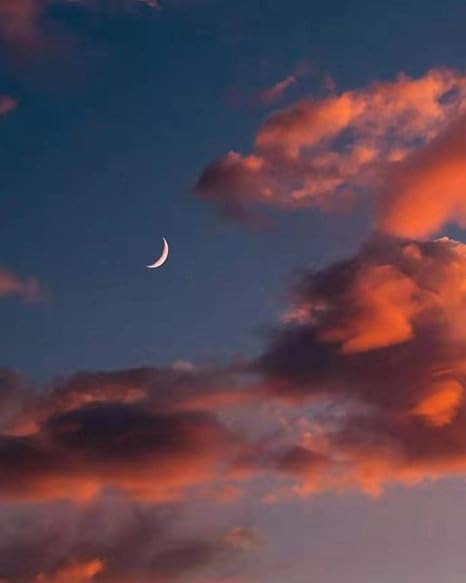 Amazon Co Jp Diy油絵 赤い雲月 油絵 数字キットによる絵画 塗り絵 大人 手塗り Diy絵 デジタル油絵 40x50センチ フレームレス ホーム キッチン