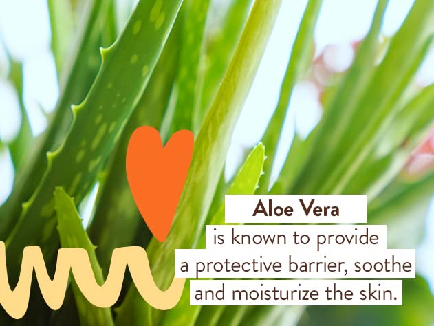 Babo Botanicals Sensitive Baby Fragrance-Free Diaper Rash Cream Spray - No touch, mess-free application - 14.9% Zinc Oxide - Shea Butter, Olive Oil & Aloe Vera - For Babies – 3fl.oz.