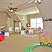 Race Car Accents Racing Cutouts Adventure for Classroom Bulletin Board Decoration