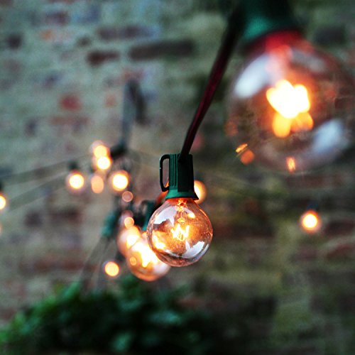 image for Lux Light G40 Clear Globe Ball String Lights 25 Feet - Indoor/Outdoor 